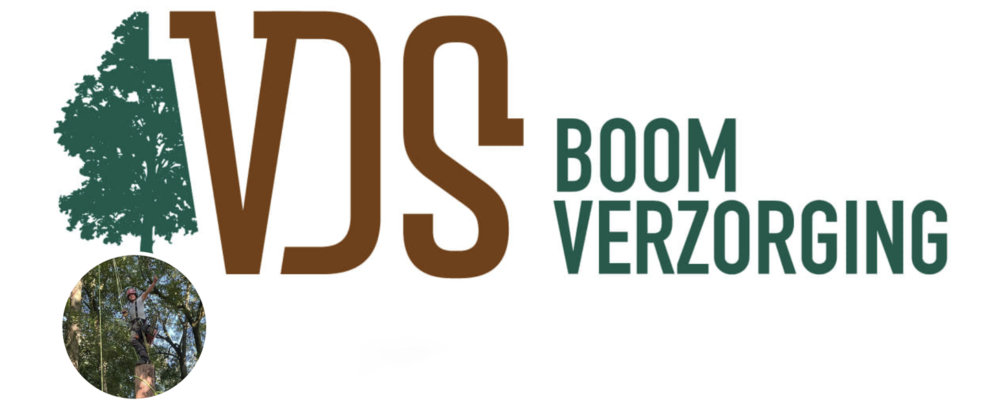logo Boomverzorging VDS